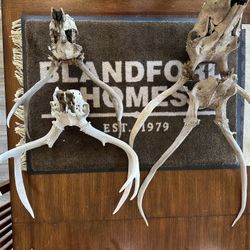 Dead Heads 