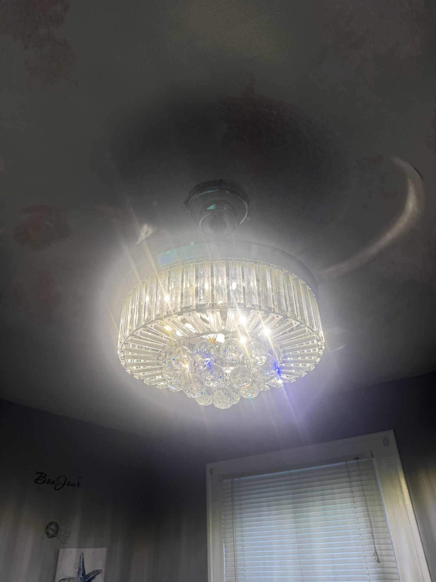 Ceiling fan with light 