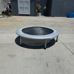 Fitness Trampoline
