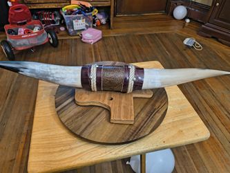 Bull Horns Brought in Texas