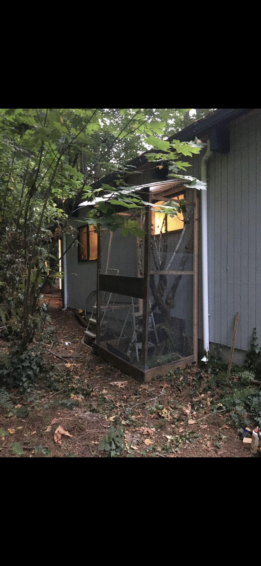 Catio Aviary