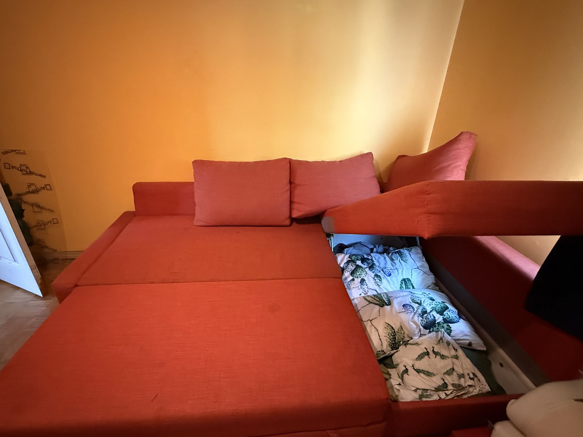 Free sofa + Pull Out Bed + Storage