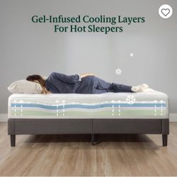 Zinus 8" Green Tea Twin Mattresses. 