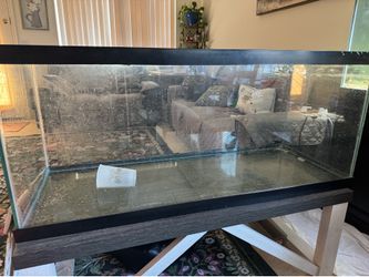 75 gallon old aquarium