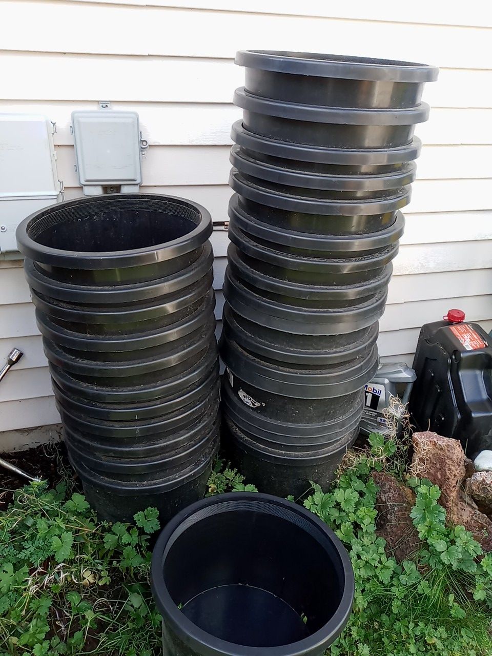 Plastic PLANT Pots / Pending Pickup Friday