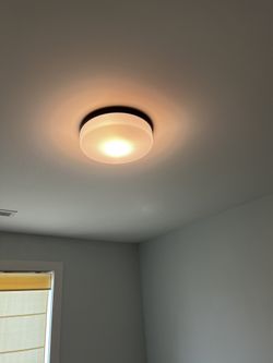 Flush Mounted Ceiling Light