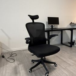 Office Chair 