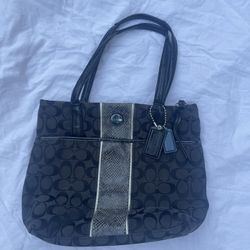 Medium Sized Coach Bag 
