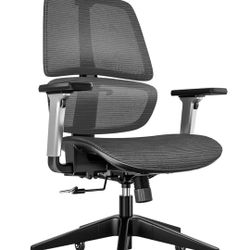 LINSY HOME High-Back Office Chair, Swivel Ergonomic Task Chair with Adjustable Headrest and Arms, Lumbar Support and PU Wheels, Computer Mesh Chair fo