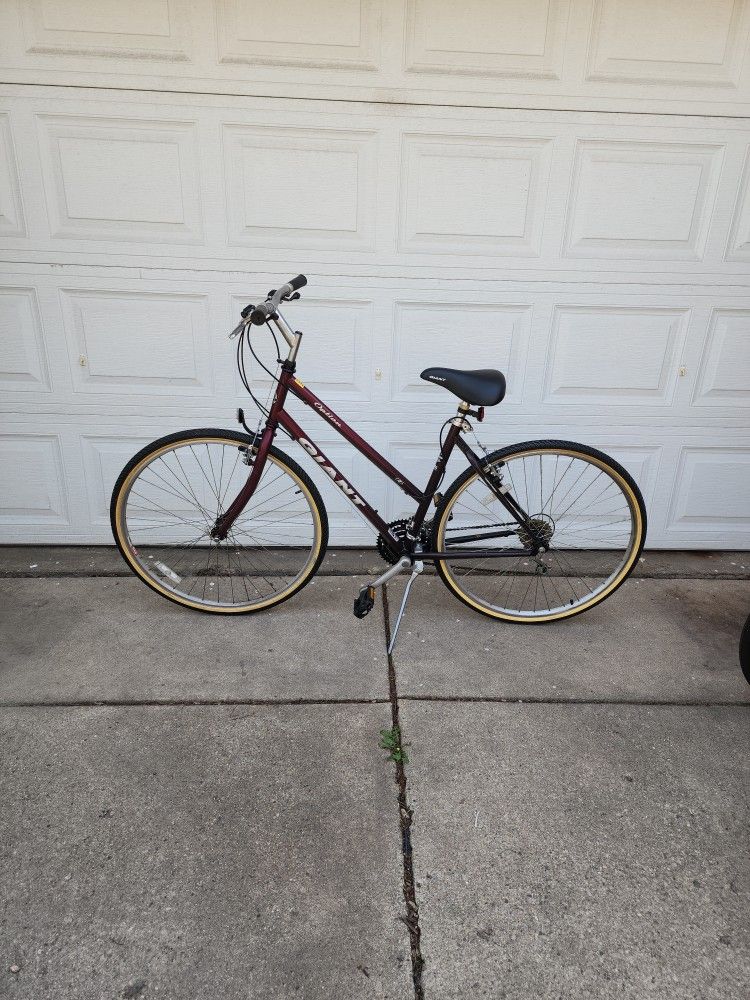 19 Inch Bike, Giant Option