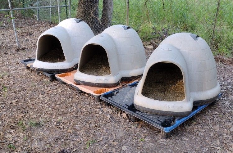 Ex-Lg Igloo Style Dog House / Livestock Shelter