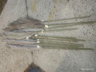 Faux natural light brown pampas grass