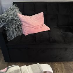 Loveseat Convertible Sleeper 