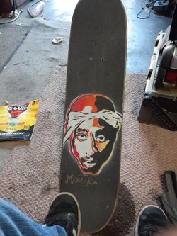 Santa Cruz Skateboard