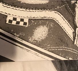 Brand New Vans
