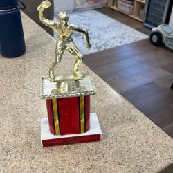 PingPong Championship Trophy