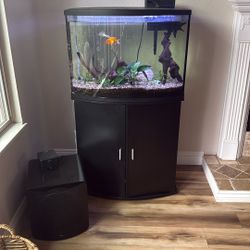 36 GALLON TANK WITH EVERYTHING 