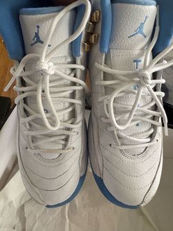 Air Jordan retro 12