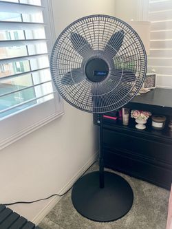 Lasko Fan
