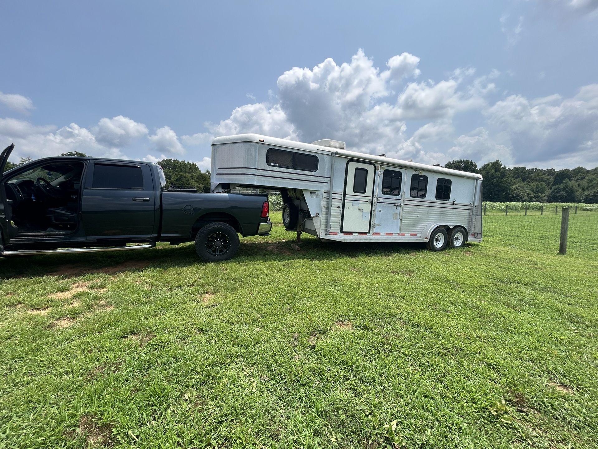 2000 Horse 3 Horse