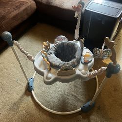 Baby Bouncer 