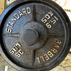 35 Lb Weight Plate Pair 