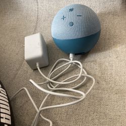 Amazon Alexa 
