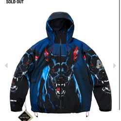 Palace Skateboards GORE-TEX 2L P-TEK JACKET K-NEIN PRINT