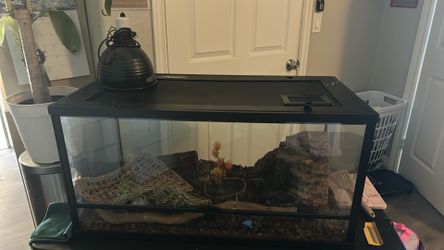 Snake terrarium