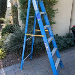 Fiberglass Ladder 6’