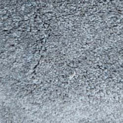 Carpet 12x20