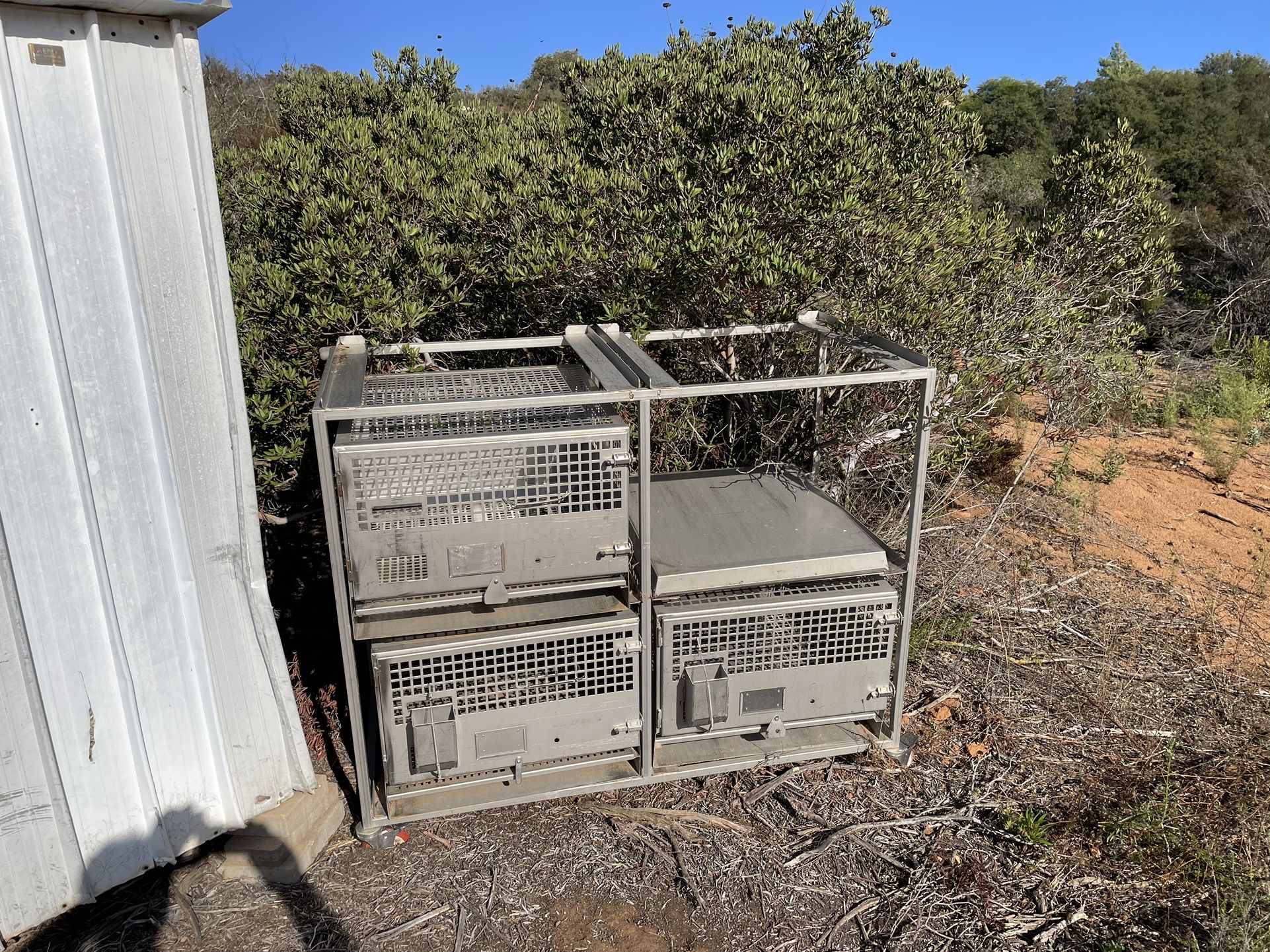 Small Animal, Birds Cages, $200.