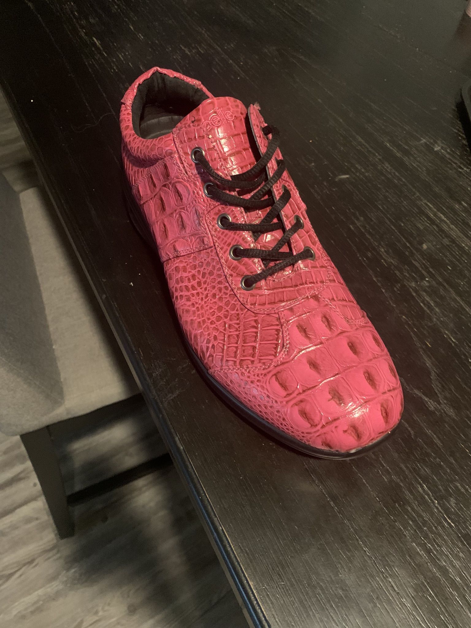 Alligator Gym Shoes