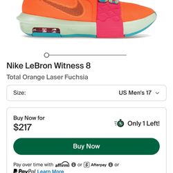 Nike LeBron Witness V111 