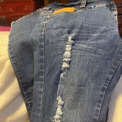 Women’s Pants