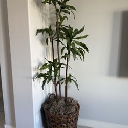 Tall Artificial Plants