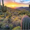 AZ
