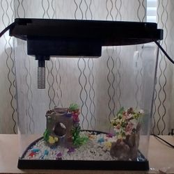 Fish tank