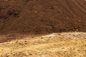 Clean Dirt Free