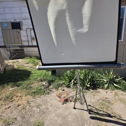 Projector Screen
