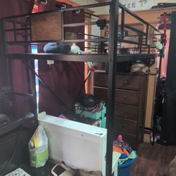 Loft Bed 