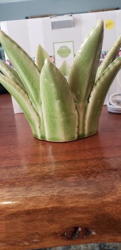 Scentsy for Sale in San Antonio, TX - OfferUp
