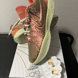 New Men’s Size 11 Nike LeBron 21
