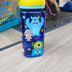 Disney Water Bottle 