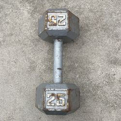 25lb Dumbell