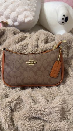 Brand new coach Terri purse