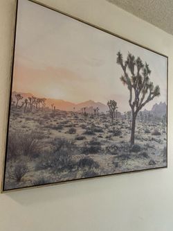 Joshua Tree Framed Canvas 40x30”