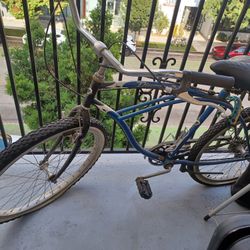 Beach Cruiser