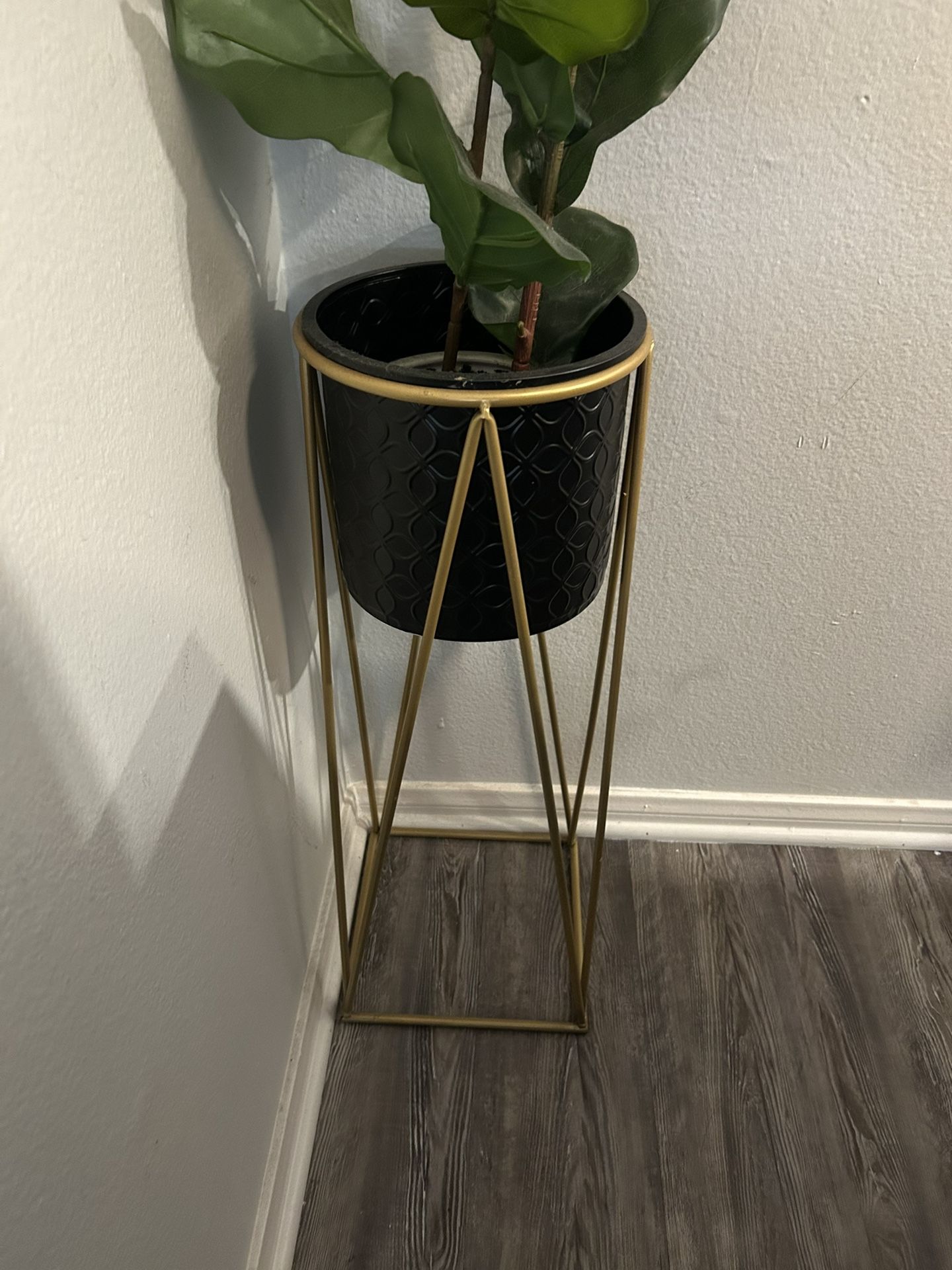 Plant Holder