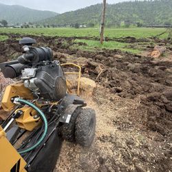 Stump Grinder Vermeer 